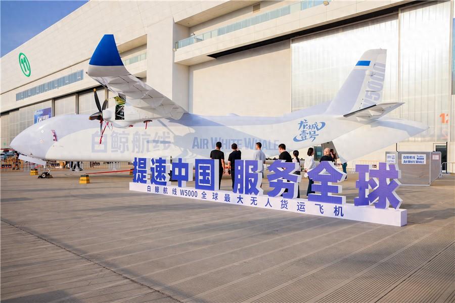 2024低空：“白鲸”领航，“低空集团”强势起飞