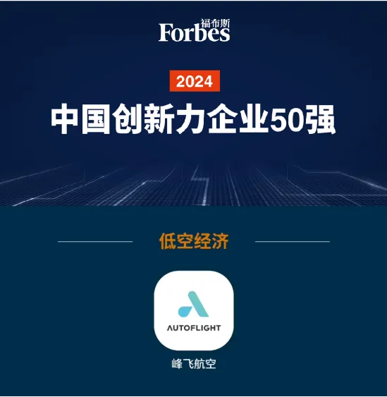 2024; 长三角绿洲智谷·赵巷：低空经济、人工智能与新能源产业正璀璨绽放